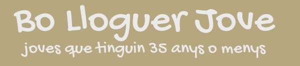 Bo Lloguer Jove